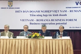 Các đại biểu tham dự diễn đàn. (Ảnh: Mỹ Phương/Vietnam+)