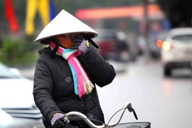 Ảnh minh họa. (Nguồn: TTXVN)