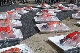 Những 'tảng thịt người.' (Nguồn: Ibtimes.co.uk)