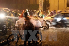 (Ảnh minh họa: Quốc Việt/TTXVN)