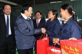 Chủ tịch nước Trương Tấn Sang chúc Tết, tặng quà cho các hộ nông dân trồng rau sạch theo mô hình của Nhật Bản ở khu nông nghiệp chất lượng cao xã Nhân Khang, huyện Lý Nhân, Hà Nam. (Ảnh: Nguyễn Khang/TTXVN)