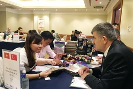 Doanh nghiệp Việt Nam-Thổ Nhĩ Kỳ trao đổi cơ hội hợp tác. (Ảnh: Mỹ Phương/Vietnam+)