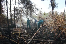 Lực lượng chức năng khẩn trương phun nước dập đám cháy rừng trong Vườn quốc gia U Minh Hạ. (Ảnh: Huỳnh Thế Anh/TTXVN)