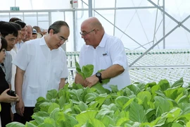 (Ảnh: Nguyễn Dân/TTXVN)