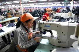Công nhân dệt may Việt Nam. (Ảnh: Danh Lam/TTXVN)
