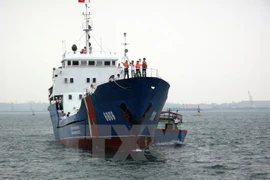 (Ảnh minh họa: Đăng Lâm/TTXVN)