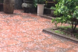 Ảnh minh họa. (Nguồn: Vietnam+)