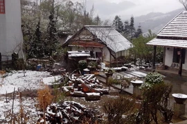 Tuyết rơi phủ trắng trên mái nhà, vườn tược của người dân khu vực đèo Ô Quý Hồ, thị trấn Sa Pa (Lào Cai) năm 2014. (Ảnh: Nguyễn Thắng/TTXVN) 