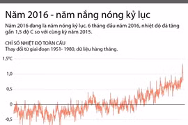 [Infographics] Nắng nóng kỷ lục, nhiệt độ toàn cầu tăng 1,5 độ C