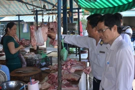 Ảnh minh họa. (Nguồn: TTXVN)