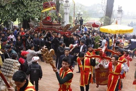 Ảnh minh họa. (Nguồn: TTXVN)