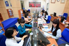 (Ảnh minh họa: Trần Việt/TTXVN) 