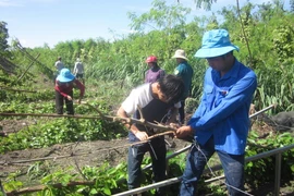 Thiệt hại do lốc xoáy. (Ảnh minh họa. Nguồn: TTXVN)