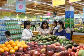 Ảnh minh họa. (Nguồn: TTXVN)