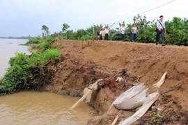 Ảnh minh họa. (Nguồn: TTXVN)