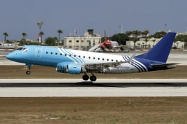 Một máy bay của Air Sinai. (Nguồn: Airplane-pictures.net)