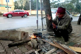 (Ảnh: Thanh Tùng/TTXVN)