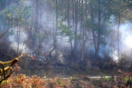 (Ảnh minh họa. Nguồn: TTXVN)