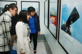 Khách tham quan triển lãm. (Nguồn: TTXVN)