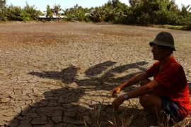 (Ảnh: Duy Khương/TTXVN)