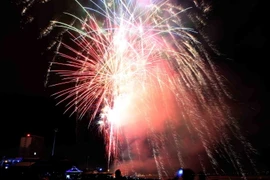 Đà Nẵng bắn pháo hoa tầm cao đón năm mới 2016. (Ảnh: Trần Lê Lâm/TTXVN) 