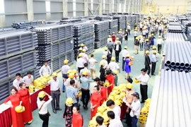 Các đại biểu tham quan Nhà máy ống nhựa Hoa Sen Bình Định. (Ảnh: Quốc Dũng/TTXVN)