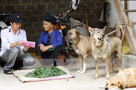 Nhân viên thú y hướng dẫn người dân khi nuôi chó, mèo cần tiêm phòng đầy đủ. (Ảnh: TTXVN)