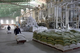 Ảnh minh họa. (Nguồn: TTXVN)