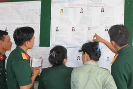 Ảnh minh họa. (Nguồn: TTXVN)