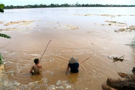Ảnh minh họa. (Nguồn: TTXVN)