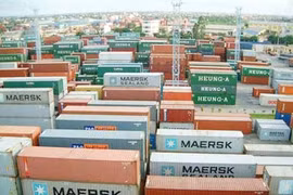 Làm rõ việc tạm giữ lô hàng đông lạnh của Công ty Maersk Việt Nam