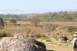 (Ảnh: Phạm Kiên/Vietnam+)