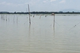 Lòng hồ Trị An bị chiếm dụng để khai thác thủy sản theo kiểu tận diệt. (Ảnh: Sỹ Tuyên/TTXVN)