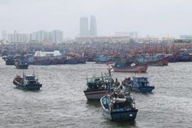 Ảnh minh họa. (Nguồn: TTXVN)