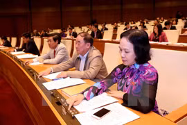 Quốc hội họp phiên toàn thể biểu quyết thông qua dự thảo Bộ luật Hình sự sửa đổi hồi tháng 11/2015. (Ảnh: Phương Hoa/TTXVN)