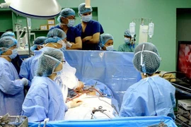 (Ảnh chỉ có tính minh họa: Dương Ngọc/TTXVN)