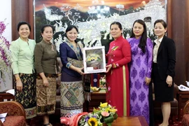  (Ảnh: Phương Hoa/TTXVN) 