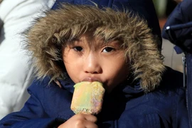 (Ảnh minh họa: Như Mai/Vietnam+)