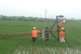 Dựng lại cột điện bị bão quật đổ ở cánh đồng xã Nguyên Hòa, huyện Phù Cừ, Hưng Yên. (Ảnh: Mai Ngoan - Tuấn Dương/TTXVN)
