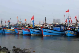Tàu thuyền về bờ tránh áp thấp nhiệt đới. (Ảnh: Trần Lê Lâm/TTXVN)