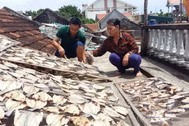 Cá lồng bị chết được người dân đem phơi khô. (Ảnh: Trịnh Duy Hưng/TTXVN) 