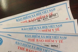 (Ảnh minh họa: PV/Vietnam+)