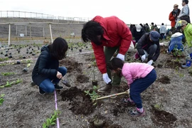 (Ảnh: Nguyễn Tuyến/Vietnam+)