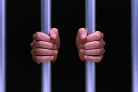 Ảnh minh họa. (Nguồn: Guardian)