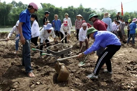 Một hoạt động của đoàn viên, thanh niên. (Ảnh: Thế Duyệt/TTXVN)