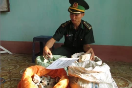 Tang vật thuốc nổ bị lực lượng biên phòng bắt giữ. (Ảnh minh họa. Nguồn: TTXVN) 