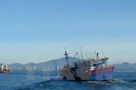 (Ảnh minh họa: Nguyên Lý/TTXVN)