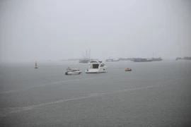 (Ảnh: Minh Sơn/Vietnam+)