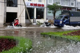 (Ảnh minh họa: Ngọc Hà/TTXVN)