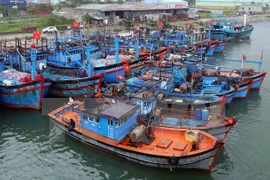 Tàu cá về bờ neo đậu tránh bão. (Ảnh minh họa: Trần Lê Lâm/TTXVN)